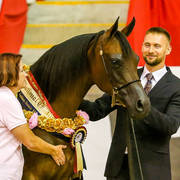 Romance Mi G,J and J Farell