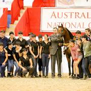 Volcom FF Gold Champion Junior Arabian Colt for Future Farms