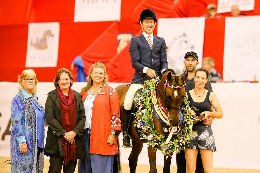 Ridden Purebred mare -Bremervale Bey Gabrielle-Alexandrina farm