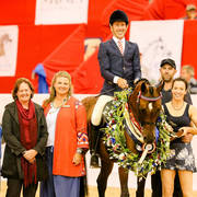 Ridden Purebred mare -Bremervale Bey Gabrielle-Alexandrina farm