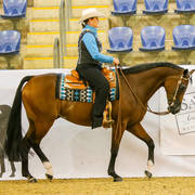 Just Magnetic-petrina Gear Gold Champion Western Pleasure