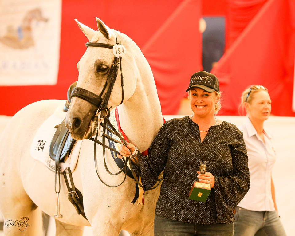 Medium Dressage Champion Valerius Waltermeyer for Future Farms