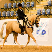 Wislist and Viv Motbey-Champion Non Pro Bridlepath Hack