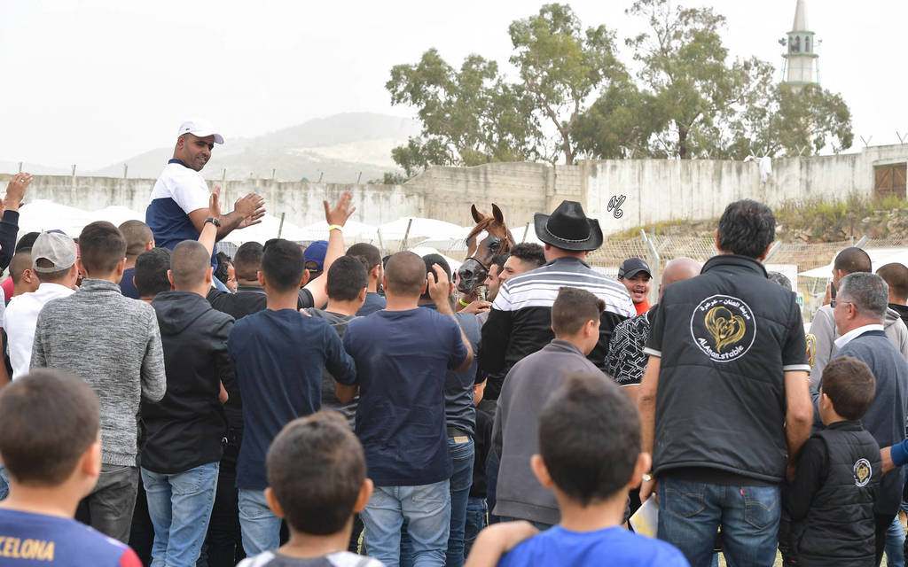 Senior Stallion Gold Champion: Masaoud (Solaz J X Jowara Al Okab)