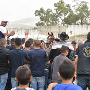 Senior Stallion Gold Champion: Masaoud (Solaz J X Jowara Al Okab)