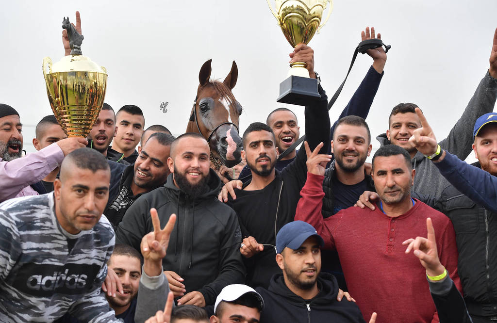 Senior Stallion Gold Champion: Masaoud (Solaz J X Jowara Al Okab)