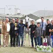 Senior Stallion Bronze Champion: El Ajam MP (Al Ayal AA X Sonbolidaa DMF)