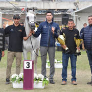 Senior Stallion Bronze Champion: El Ajam MP (Al Ayal AA X Sonbolidaa DM