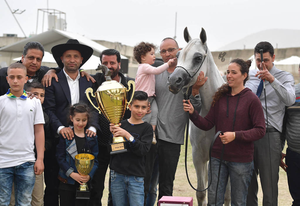 Senior Mare Gold Champion: Hala Al Fawaz (Laheeb X Zara TDD) 