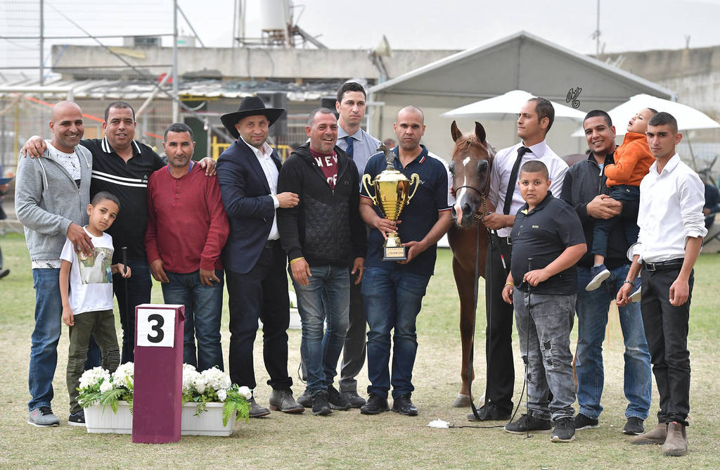 Senior Mare Bronze Champion:  Hakaia Ein Al Jamal (Solaz J X Jowhara Al Okab)