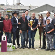 Senior Mare Bronze Champion:  Hakaia Ein Al Jamal (Solaz J X Jowhara Al Okab)