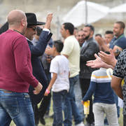 Junior Colt Gold Champion: Qais Al Usool (Fadi Al Shaqab X Laila BT Shaikira)