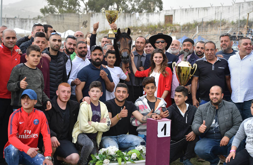 Junior Colt Gold Champion: Qais Al Usool (Fadi Al Shaqab X Laila BT Shaikira)
