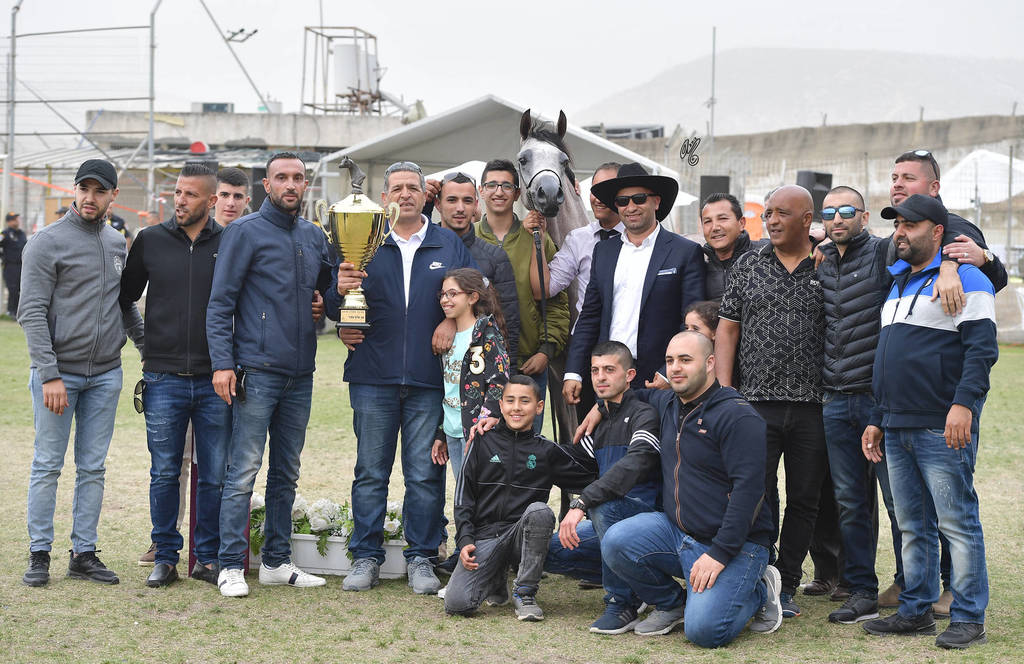 Junior Colt Silver Champion: Baha Al Quds (EKS Alihandro X Marhabaa)