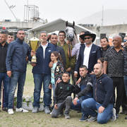 Junior Colt Silver Champion: Baha Al Quds (EKS Alihandro X Marhabaa)