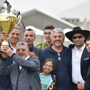 Junior Colt Silver Champion: Baha Al Quds (EKS Alihandro X Marhabaa)