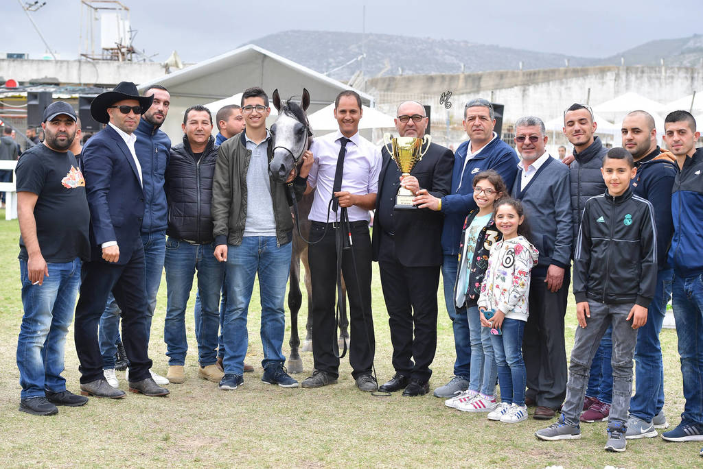 Junior Colt Silver Champion: Baha Al Quds (EKS Alihandro X Marhabaa)