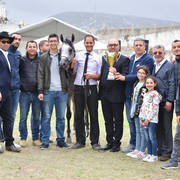 Junior Colt Silver Champion: Baha Al Quds (EKS Alihandro X Marhabaa)