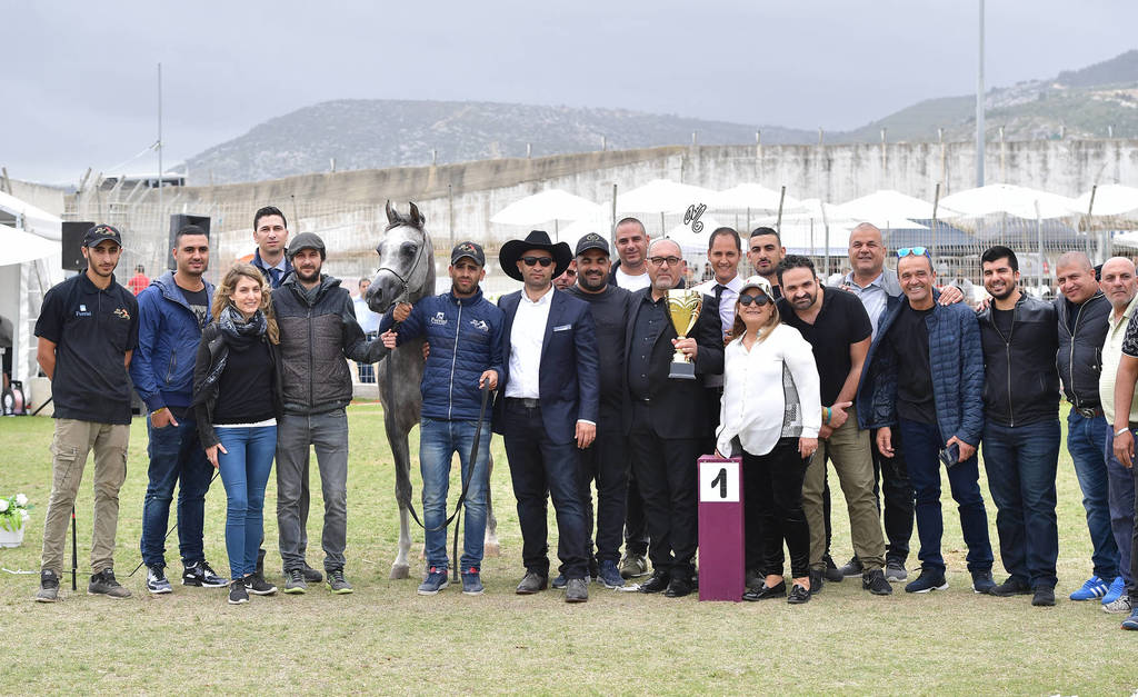 Junior Colt Bronze Champion: TGA Rahees (WH Justice X WC Martini)