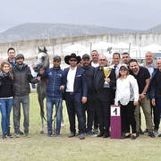 Junior Colt Bronze Champion: TGA Rahees (WH Justice X WC Martini)