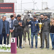 Junior Colt Bronze Champion: TGA Rahees (WH Justice X WC Martini)
