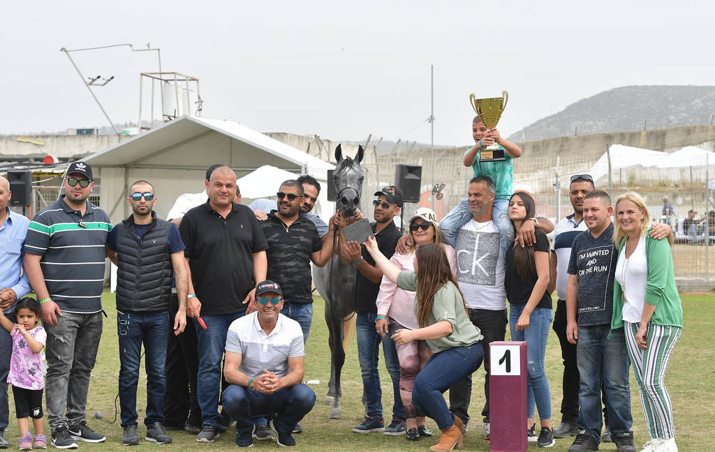 Junior Filly Gold Champion: Princess Diamond (The Millenium Star X Marheeva)