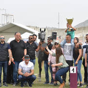 Junior Filly Gold Champion: Princess Diamond (The Millenium Star X Marheeva)