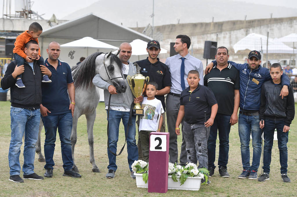 Junior Filly Silver Champion: Widad Al Wadee (Wadee Al Shaqab X Kinuuz)