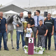 Junior Filly Silver Champion: Widad Al Wadee (Wadee Al Shaqab X Kinuuz)