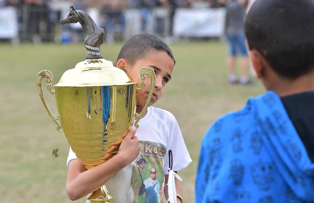 Junior Filly Silver Champion: Widad Al Wadee (Wadee Al Shaqab X Kinuuz)