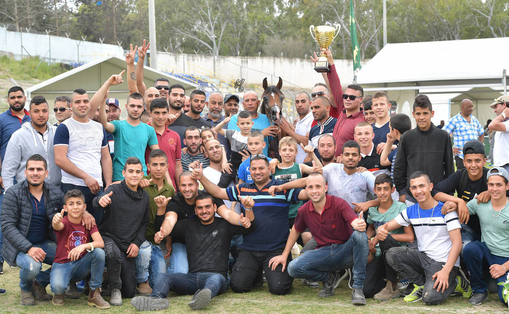 Junior Filly Bronze Champion:  A'Aisha (Solaz J X Mushrifa Pacha)