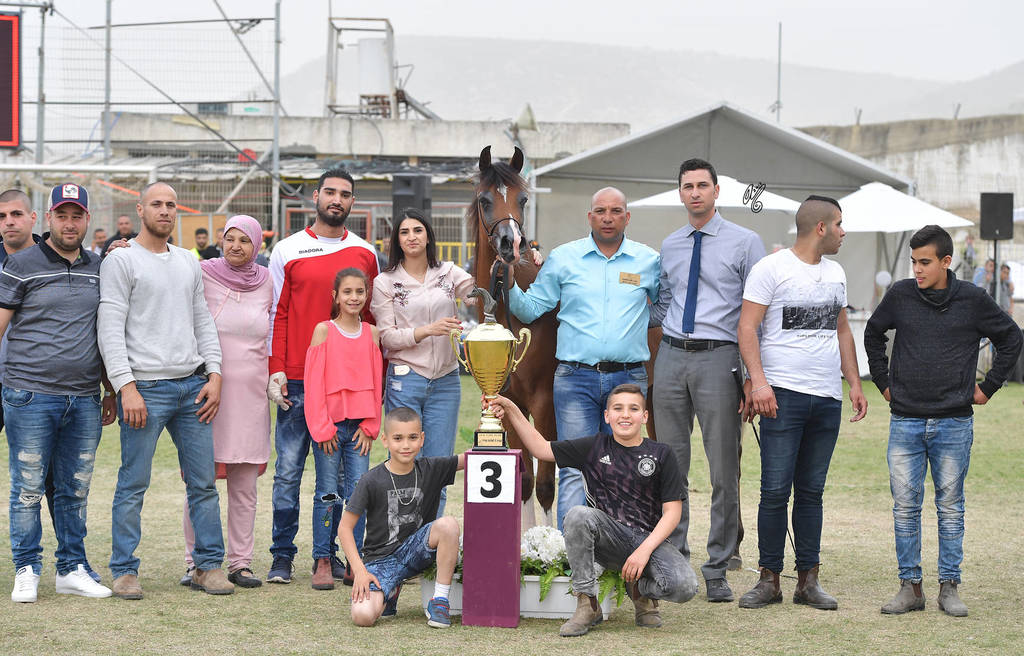Junior Filly Bronze Champion:  A'Aisha (Solaz J X Mushrifa Pacha)