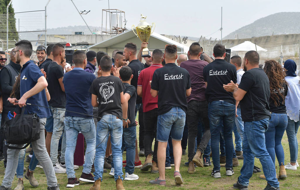 Yearling Colt Gold Champion: Everest (Fadi Al Shaqab X Rawiya)