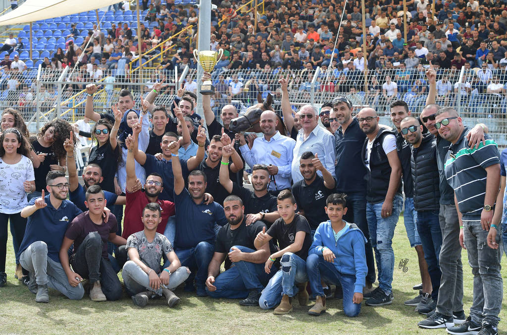 Yearling Colt Gold Champion: Everest (Fadi Al Shaqab X Rawiya)