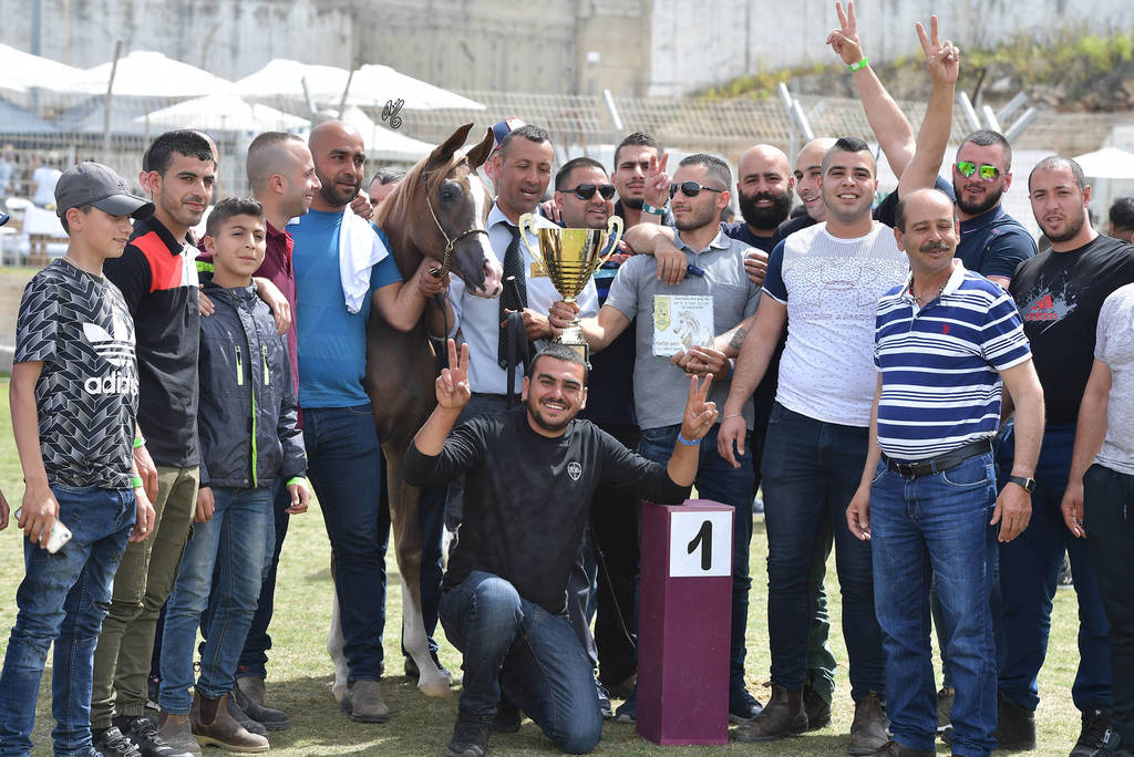 Yearling Colt Bronze Champion: Janador AH (Shiraz De Lafon X Golden Sunset J)