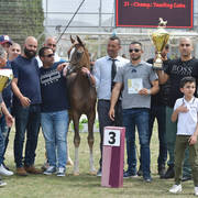 Yearling Colt Bronze Champion: Janador AH (Shiraz De Lafon X Golden Sunset J)