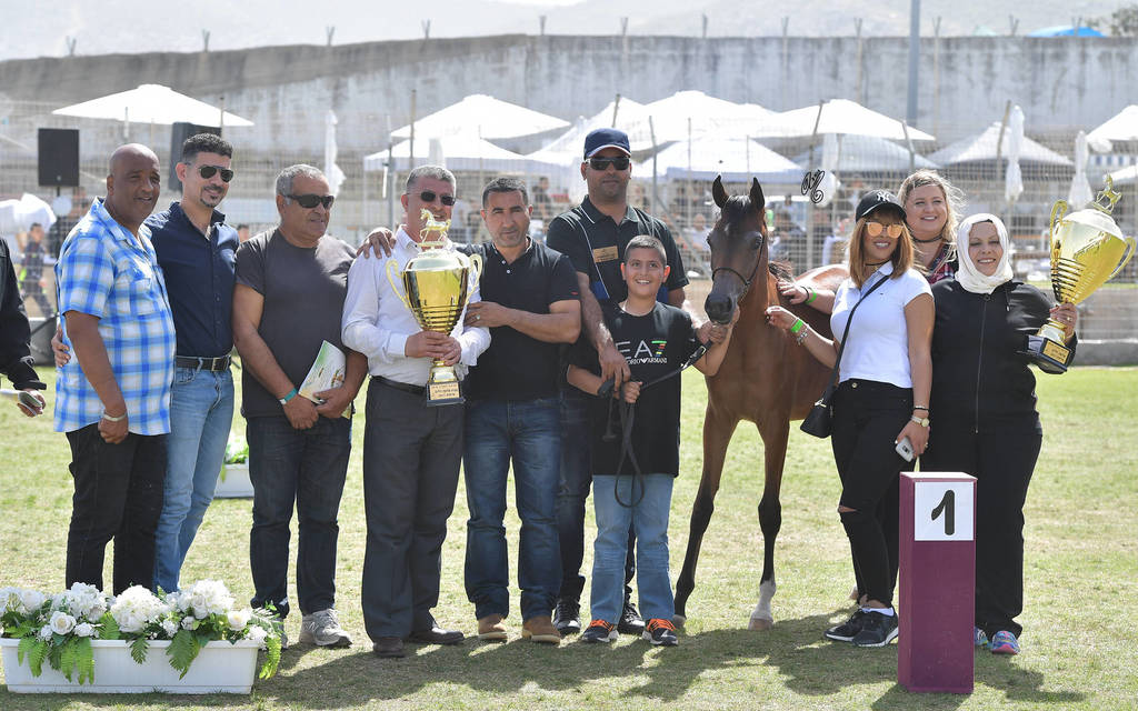 Yearling Filly Gold Champion: Warda A. Y. (Fadi Al Shaqab X Aroussa)
