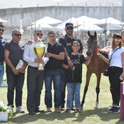 Yearling Filly Gold Champion: Warda A. Y. (Fadi Al Shaqab X Aroussa)