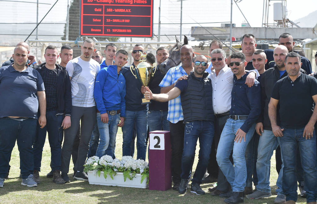 Yearling Filly Silver Champion: Dareen HD (Kais Al Baydaa X R.B. Tamaar) 