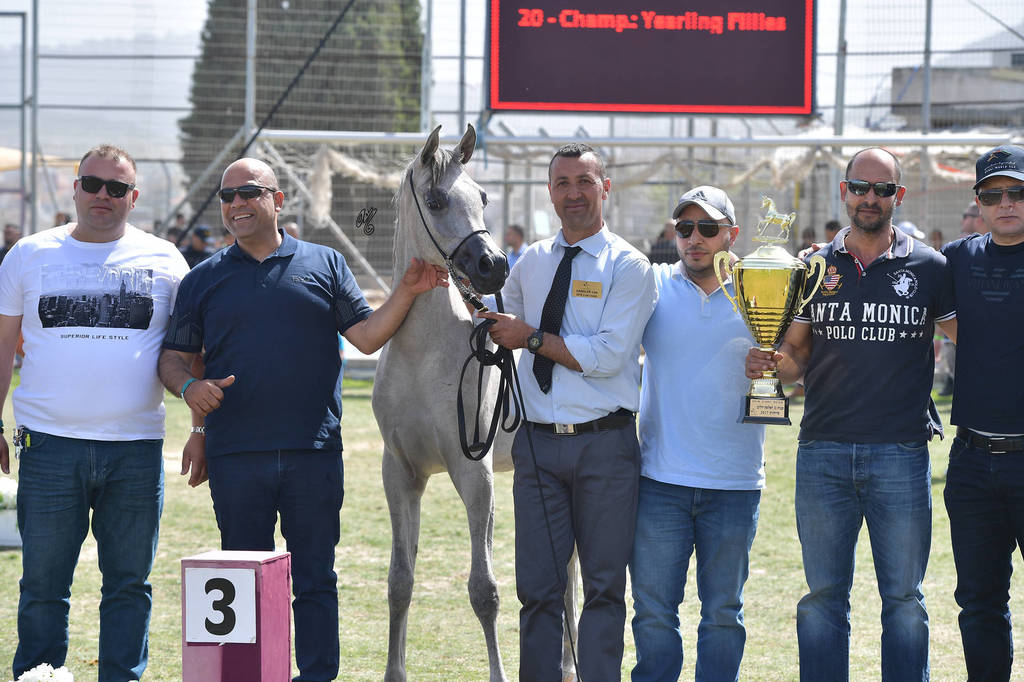 Yearling Filly Bronze Champion: Justinah RB (AJA Justfied X RB Lady Mirage)
