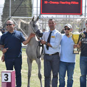 Yearling Filly Bronze Champion: Justinah RB (AJA Justfied X RB Lady Mirage)