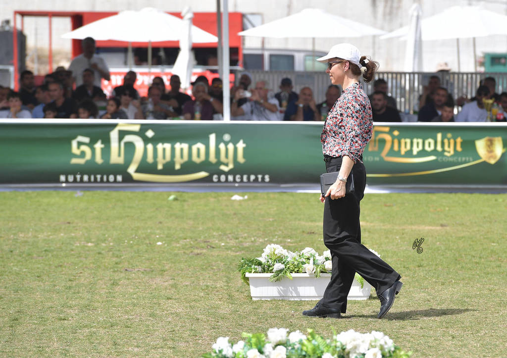 Judge Renata Schibler