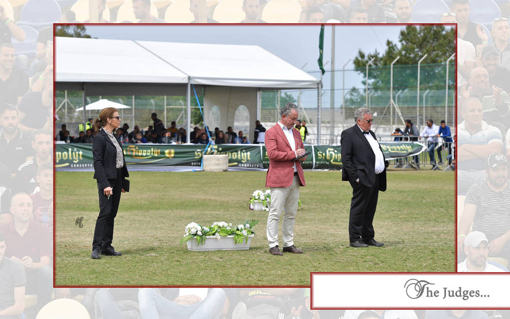 Lisa Abraham: The 2018 Israeli Spring Show Photo Gallery