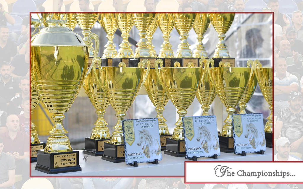 Lisa Abraham: The 2018 Israeli Spring Show Photo Gallery