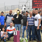 Stallions 5 Years: Gorgio Lizaz