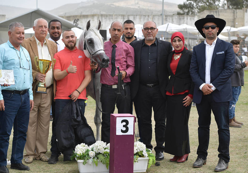 Stallions 4 Years: Ghadir AA