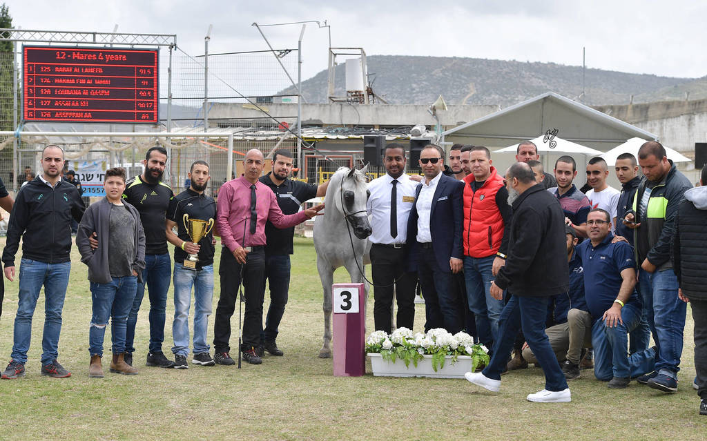 Mares 4 Years: Loubana Al Qasem