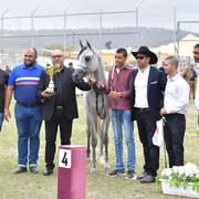 Colts 2 Years: Wattan