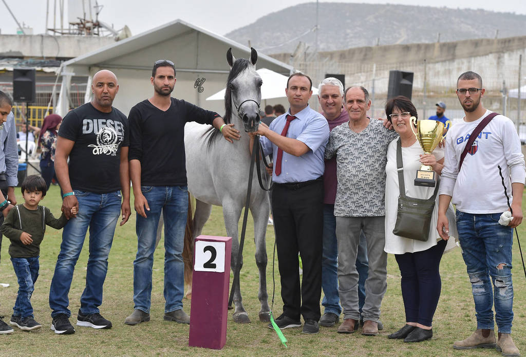 Fillies 3 Years: El Johara