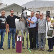 Fillies 3 Years: El Johara